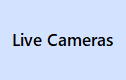 Live Cameras